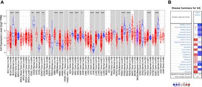 Integrin-Linked Kinase Expression Characterizes the Immunosuppressive Tumor Microenvironment in Colorectal Cancer and Regulates PD-L1 Expression and Immune Cell Cytotoxicity